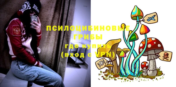 гидра Алзамай