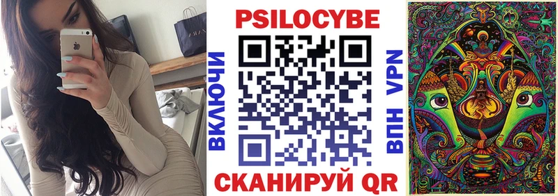 Псилоцибиновые грибы Psilocybe  закладки  Магадан 