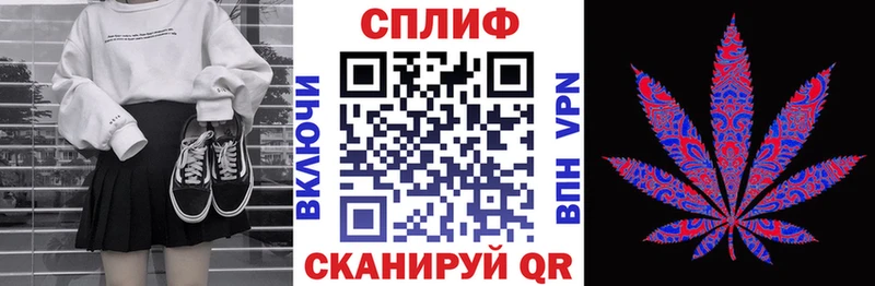 OMG зеркало  Магадан  Шишки марихуана сатива 